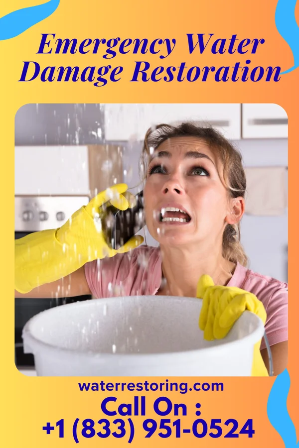 Emergency Water Damage Restoration in Lime Ridge, WI