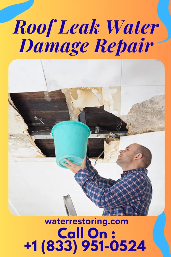 Roof Leak Water Damage Repair in Lime Ridge, WI