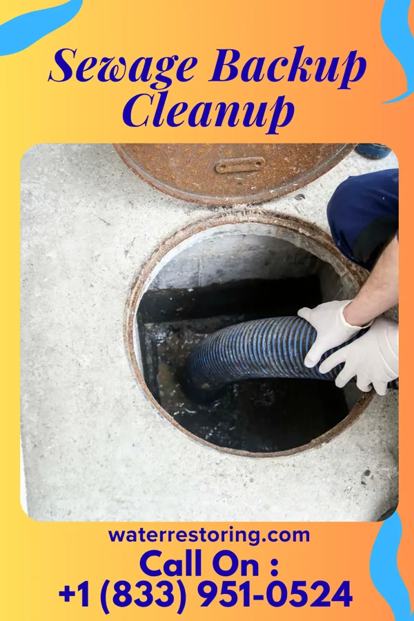 Sewage Backup Cleanup in Lime Ridge, WI